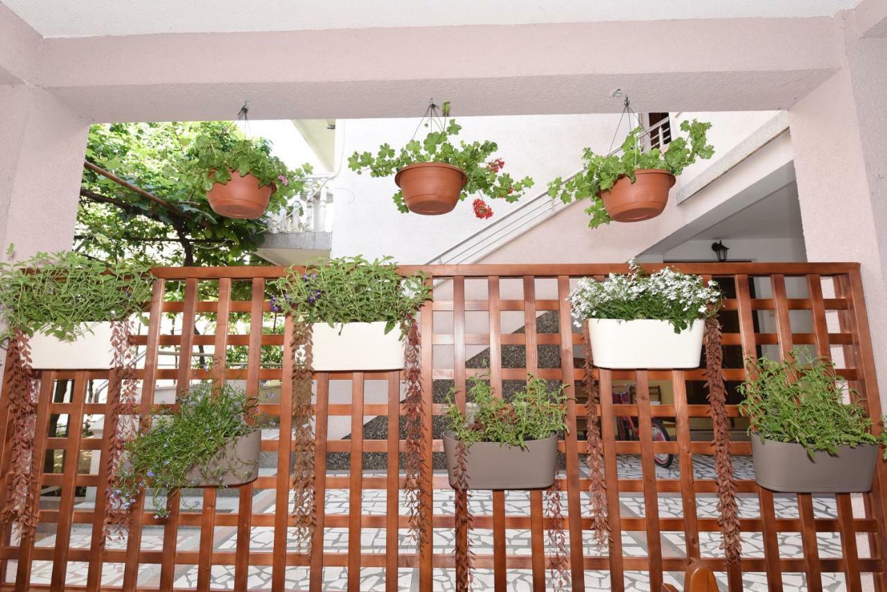Guest House Zec บุดวา ภายนอก รูปภาพ